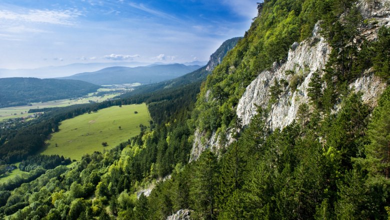 Alpy Wiedeńskie, © Naturparke Niederösterreich/Robert Herbst