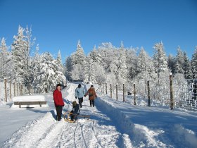 Winterwanderung, © Wiener Alpen in Niederösterreich - Schneeberg Hohe Wand