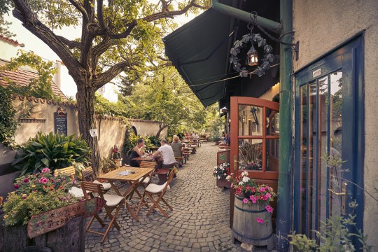 the Heurige wine bars are a perfect place to rest and recuperate., © Niederösterreich Werbung/Andreas Hofer