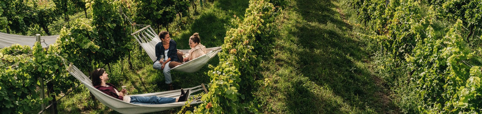 Wo nicht nur Trauben im Weingarten hängen, © Julius Hirtzberger