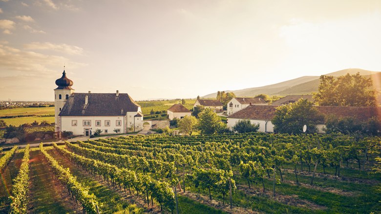 - tutaj wszędzie znajdziecie Państwo historię, przyjemność i kulturę winiarską. Freigut Thallern., © Andreas Hofer